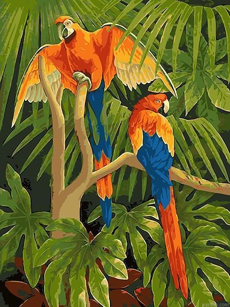 Macaw Parrots Paint By Numbers.png