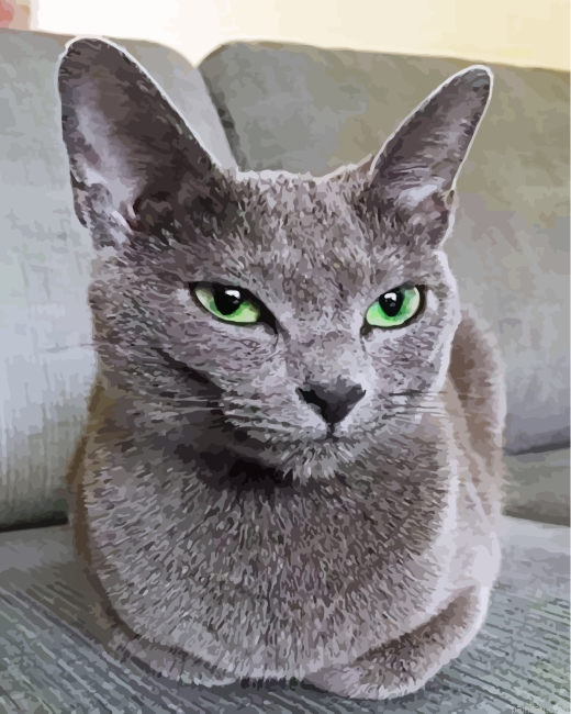Mad Russian Blue Cat Paint By Number.png
