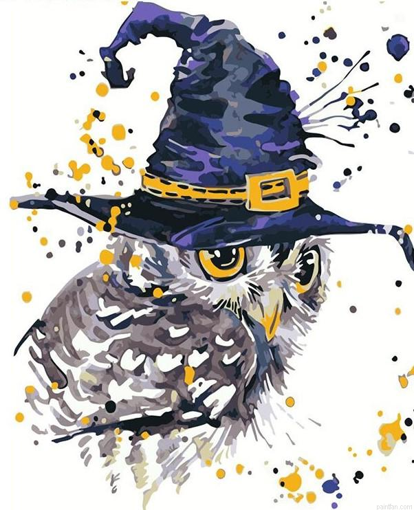 Magic Owl Paint By Numbers.png