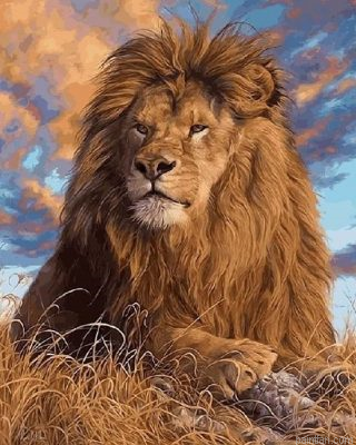 Magnificent Lion Paint By Numbers.png