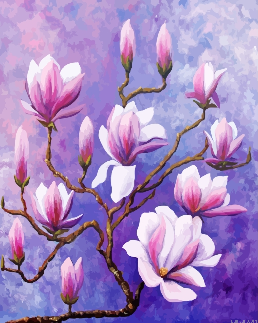 Magnolias Flowers Paint By Numbers.png