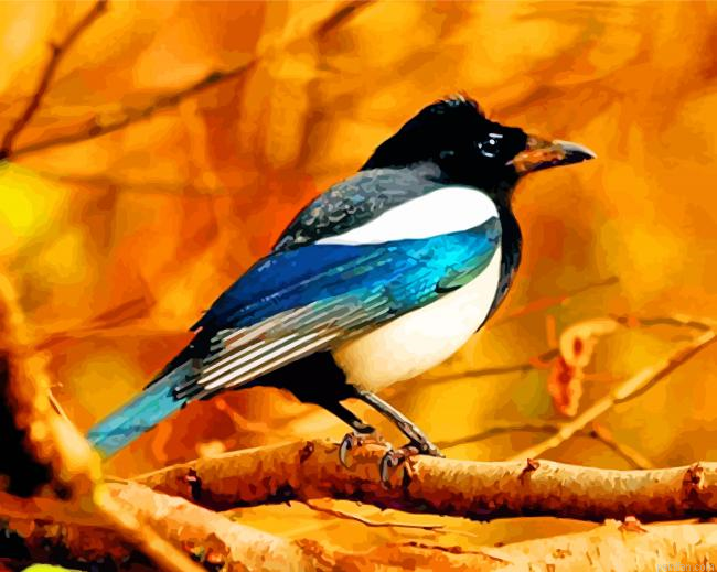 Magpie Bird Animal Paint By Number.png