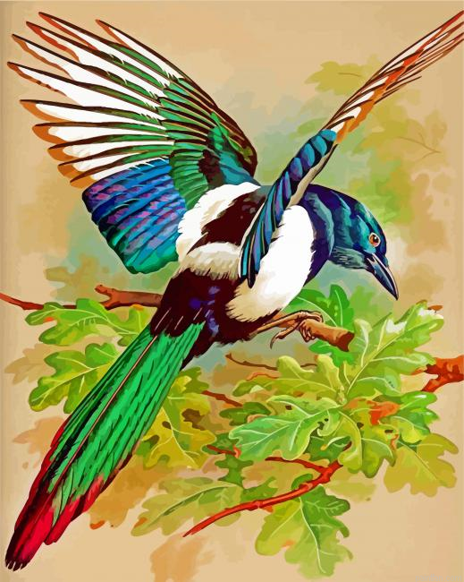 Magpie Bird Paint By Number.png