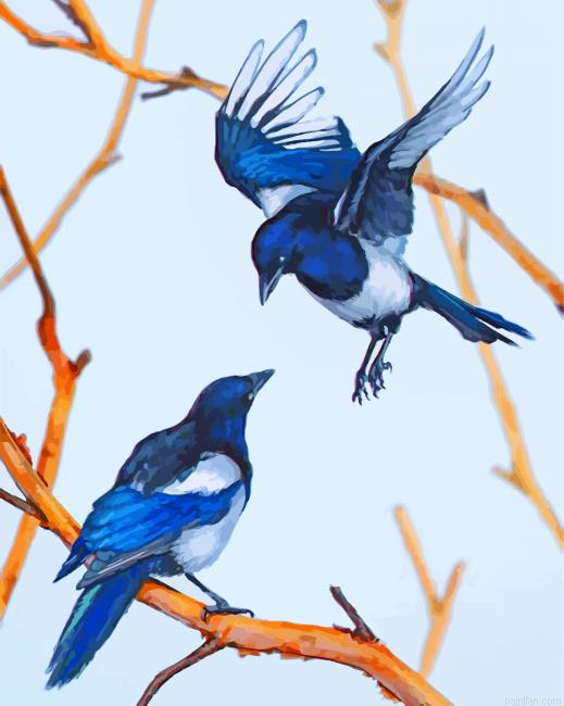 Magpie Birds Paint By Number.png