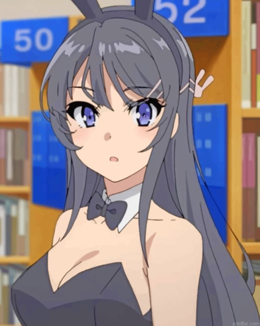 Mai Sakurajima Bunny Senpai Animes Paint By Numbers.png
