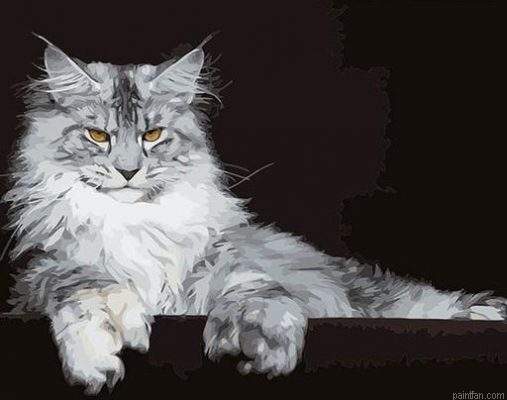 Maine Coon Paint By Numbers.png