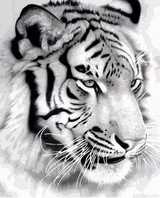 Majestic Tiger Paint By Numbers.png