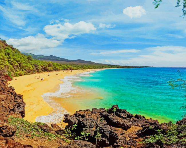 Makena State Park Hawaii New Paint By Numbers.png