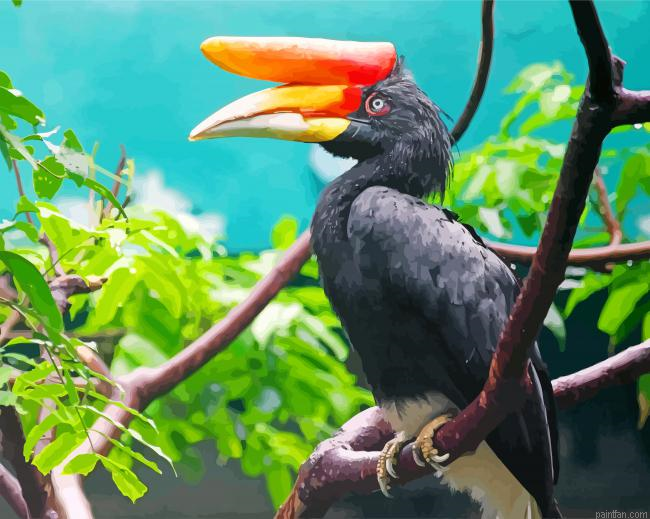 Malaysia Hornbill Bird Paint By Number.png