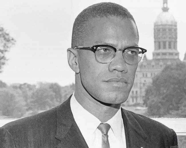 Malcolm X New Paint By Numbers.png