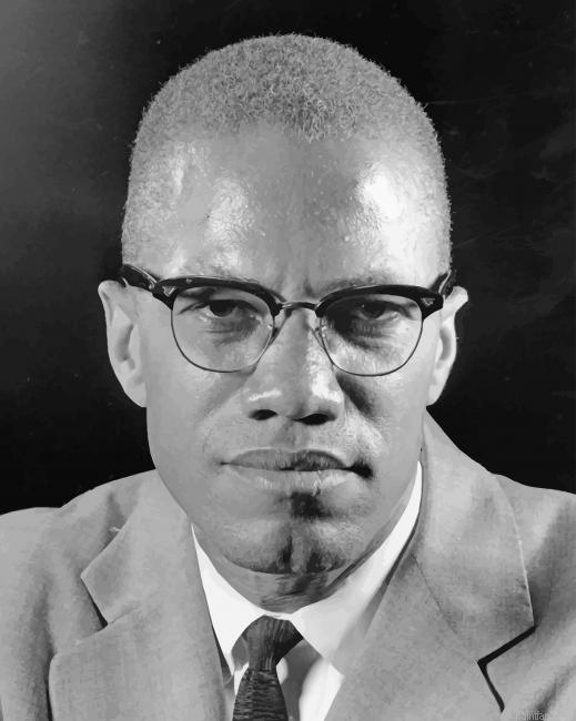 Malcolm X Portrait New Paint By Numbers.png