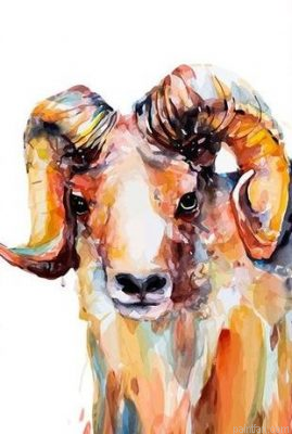 Male Sheep Paint By Numbers.png