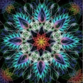 Mandala On Shape Of Flower Paint By Numbers.png