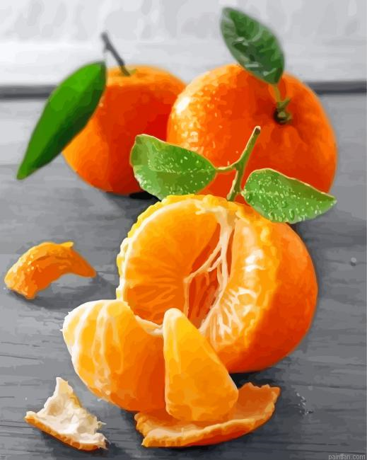 Mandarine Fruit Paint By Number.png