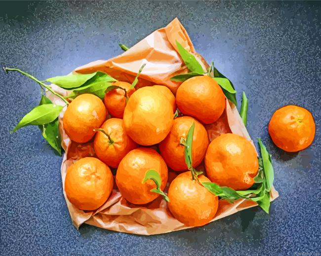Mandarine Paint By Number.png