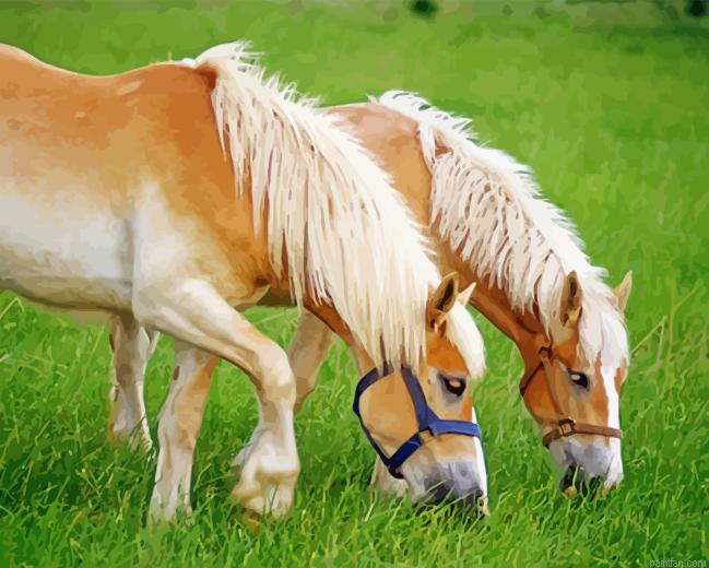 Mare And Foal Paint By Numbers.png