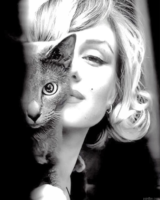 Marilyn Monroe With Her Cat New Paint By Numbers.png