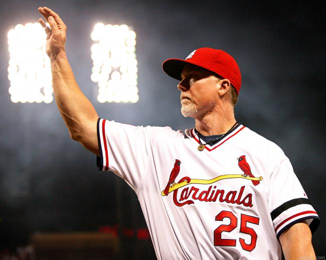 Mark Mcgwire Paint By Numbers.png