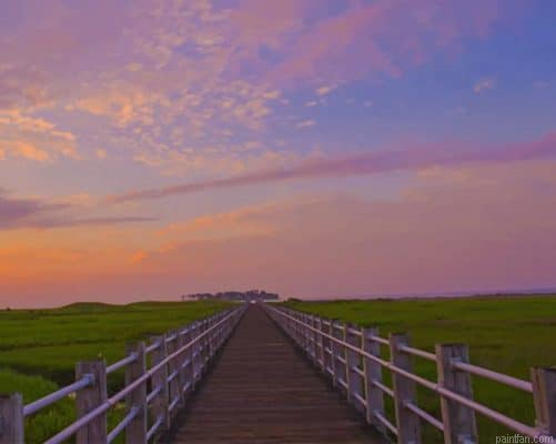 Marsh Boardwalk Paint By Number.png
