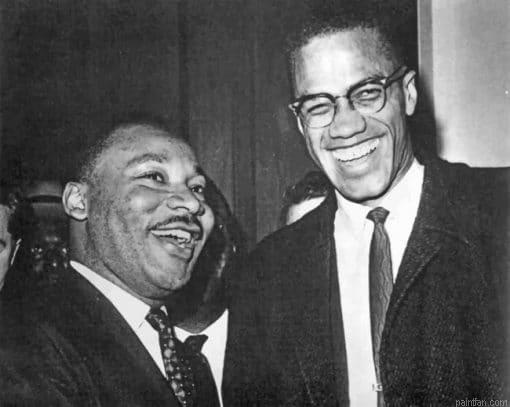 Martin Luther King And Malcolm X Paint By Number.png