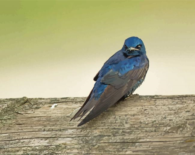 Martin Purple Bird Paint By Numbers.png