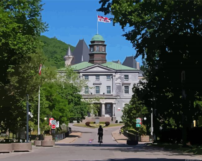 Mcgill University Paint By Numbers.png