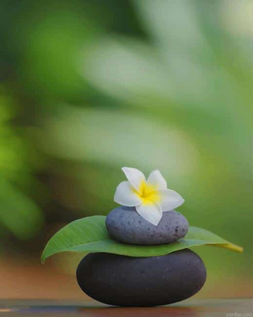 Meditation White Flower And Black Rocks New Paint By Numbers.png