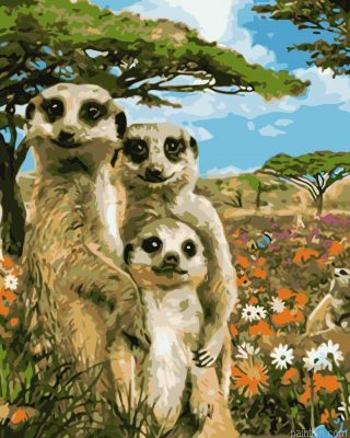 Meerkat Family Paint By Numbers.png