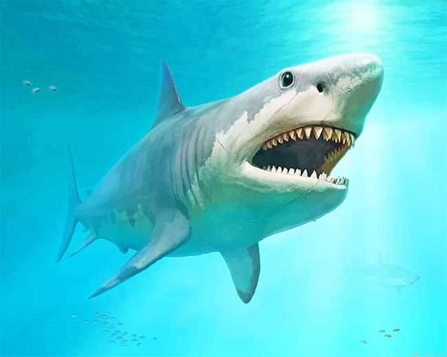 Megalodon Shark New Paint By Numbers.png