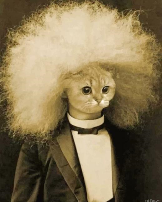 Meow Einstein New Paint By Numbers.png