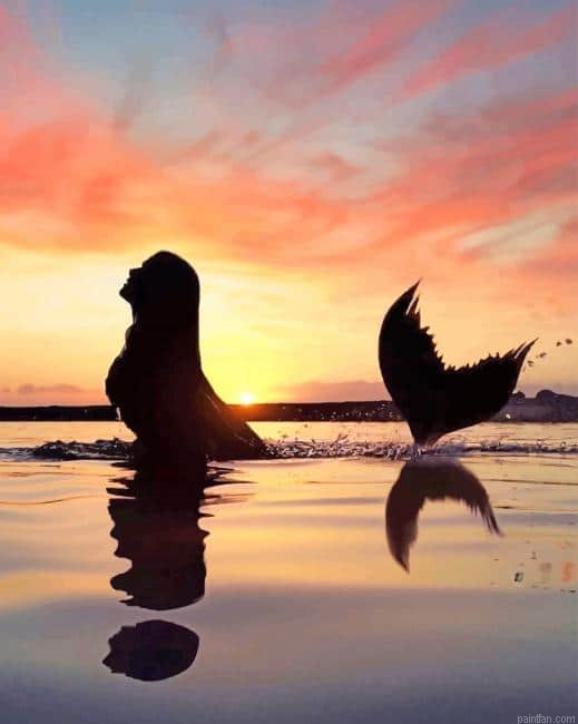 Mermaid Swimming Silhouette New Paint By Numbers.png