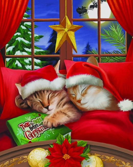 Merry Christmas Kitty New Paint By Numbers.png