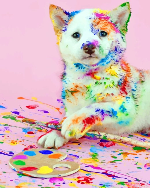 Messy Dog With Paints New Paint By Numbers.png