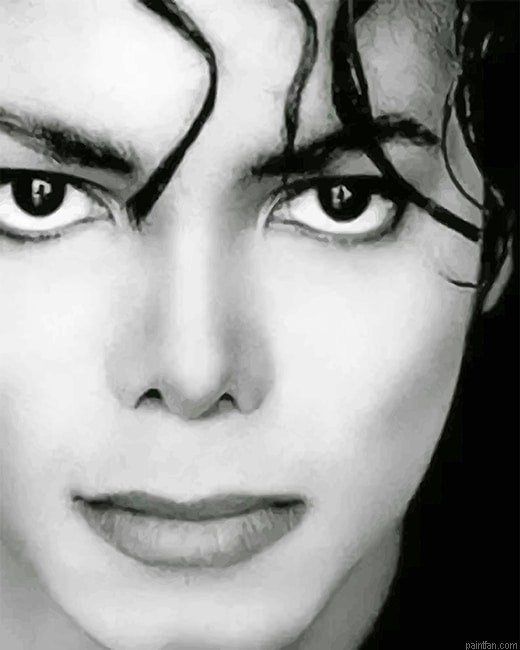 Micheal Jackson Black And White New Paint By Numbers.png