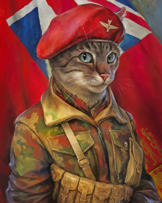 Military Cat Art Paint By Numbers.png