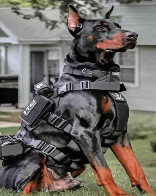 Military Dog Paint By Numbers.png