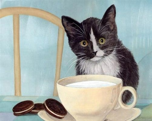 Milk Cat Paint By Numbers.png