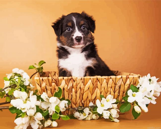 Mini Aussie In A Basket Paint By Numbers.png