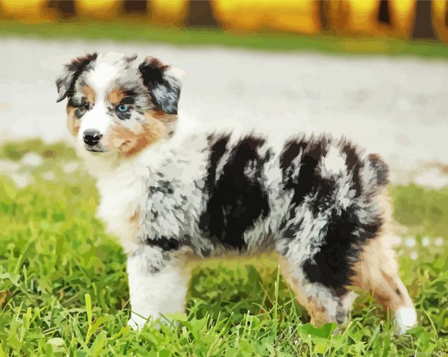 Mini Aussie Paint By Numbers.png