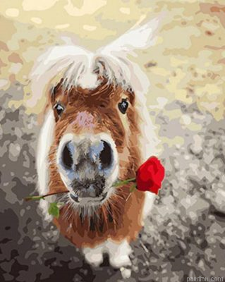 Mini Horses Paint By Numbers.png