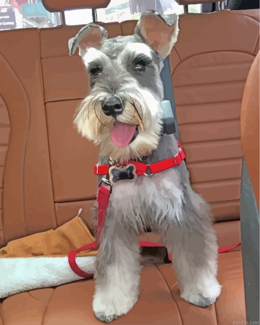 Miniature Schnauzer Paint By Number.png