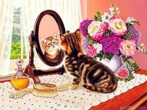 Mirror Cat Paint By Numbers.png