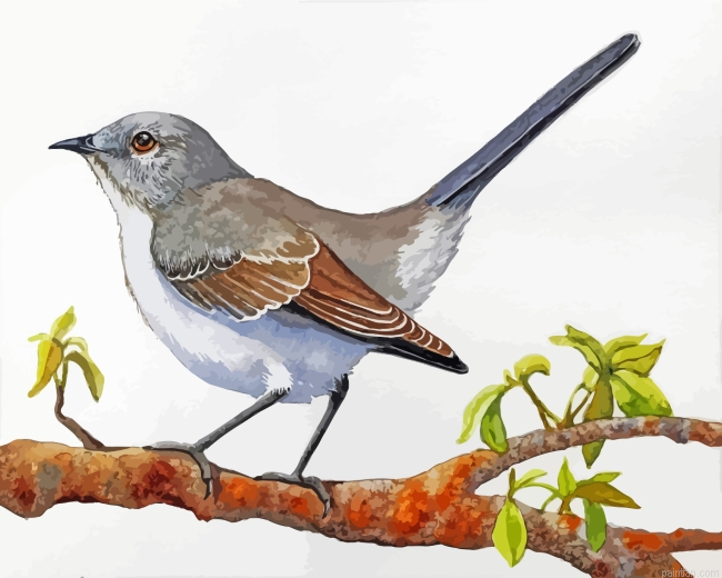 Mockingbird On Stick Paint By Number.png