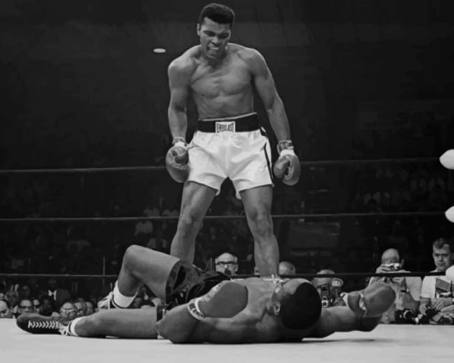Mohammad Ali Black And White Paint By Number.png