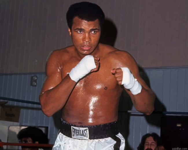 Mohammad Ali The Boxer Paint By Number.png