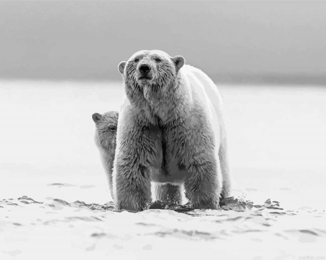 Mom And Baby Bear Paint By Numbers.png