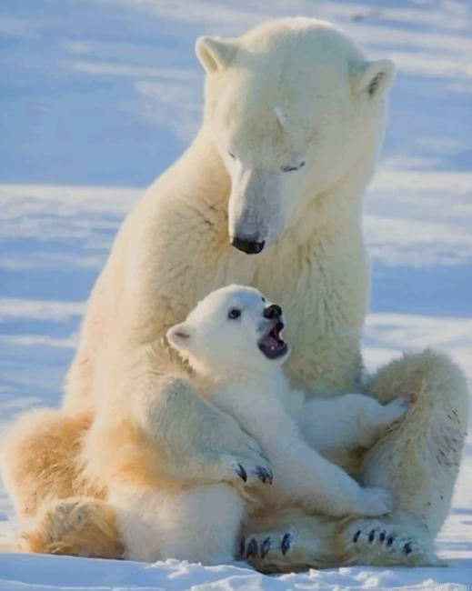 Mom And Baby Polar Bear Paint By Number.png