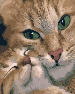 Mommy Cat Paint By Numbers.png