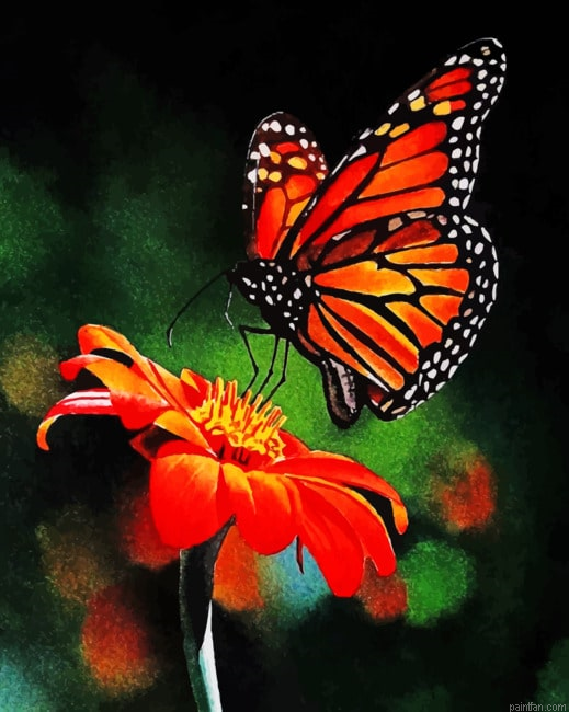 Monarch Butterfly On Flower Paint By Number.png
