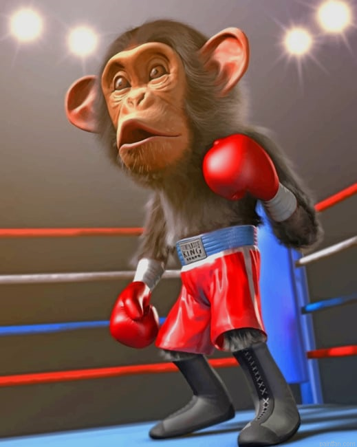 Monkey Boxer New Paint By Numbers.png